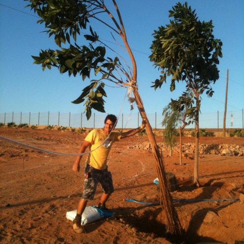 IMG_2336-e1572360539475 (1)