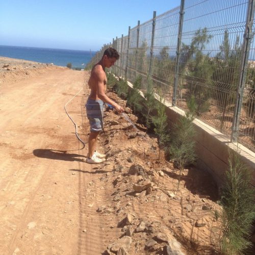 IMG_3751-e1572360696814